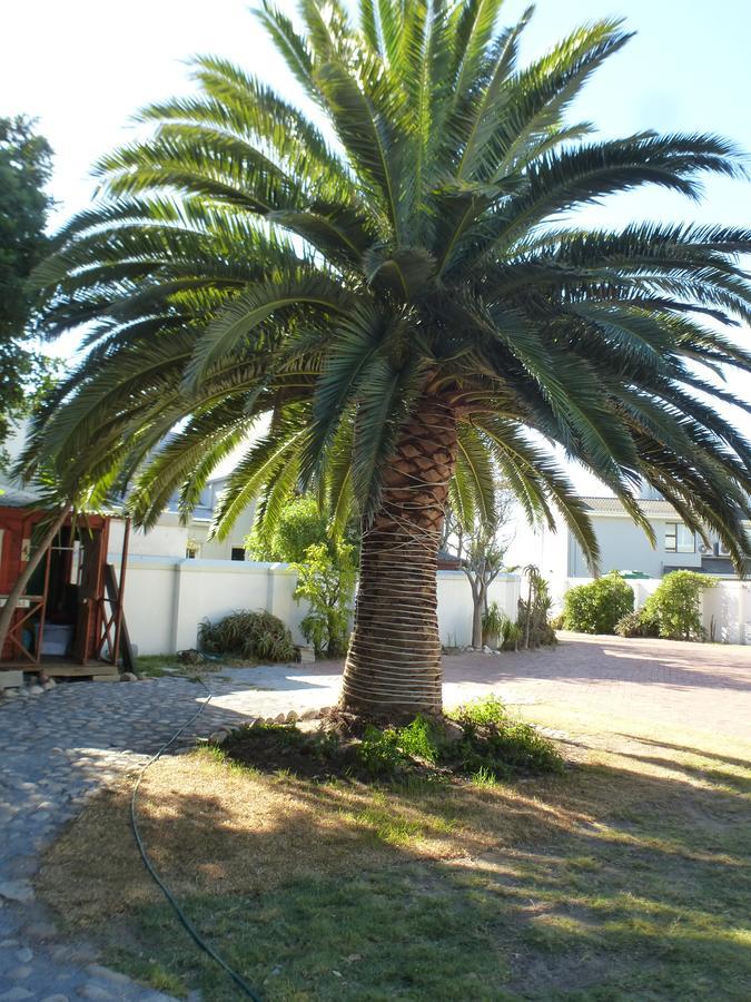 Cape Town Milnerton Lagoon Villa Экстерьер фото